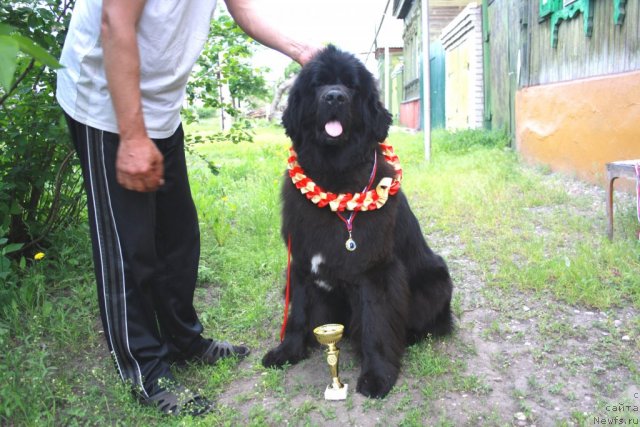 Фотография № 67642