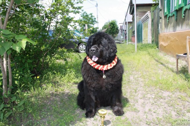 Фотография № 67645