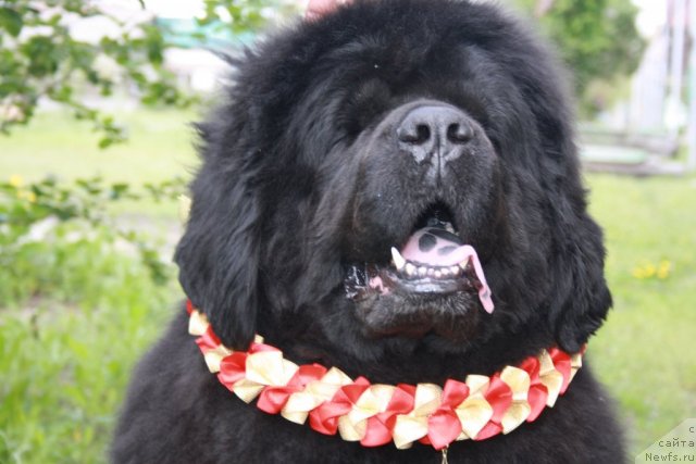 Фотография № 67647