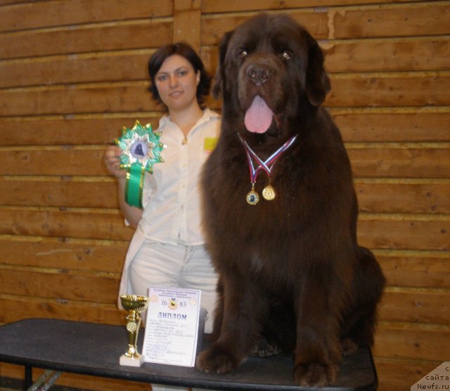 Фотография № 67654