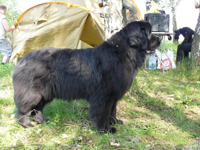 Фотография № 67659