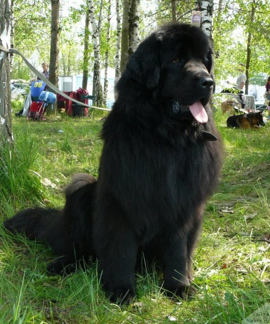 Фотография № 67664