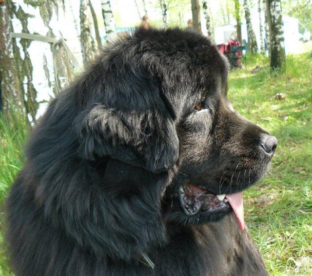 Фотография № 67665