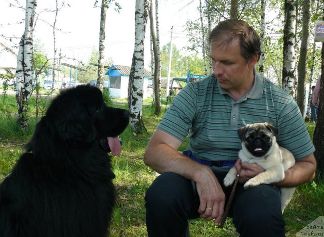 Фотография № 67666