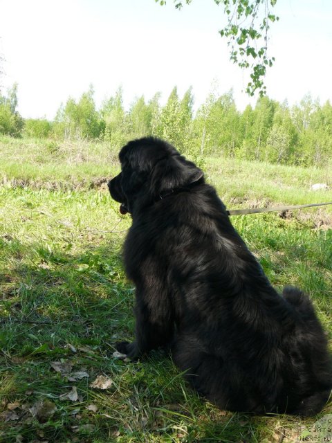 Фотография № 67671