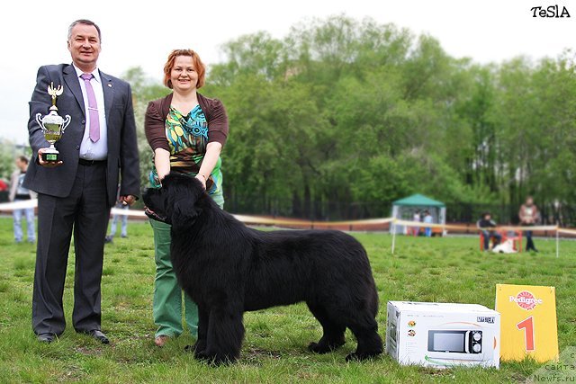 Фото: Tat'yana Abutova (Татьяна Абутова)