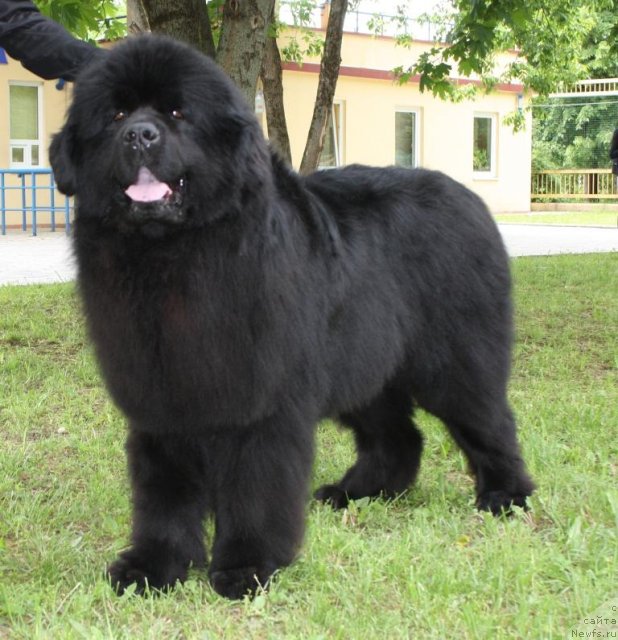 Фотография № 67689