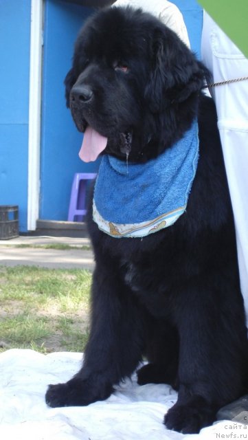 Фотография № 67692