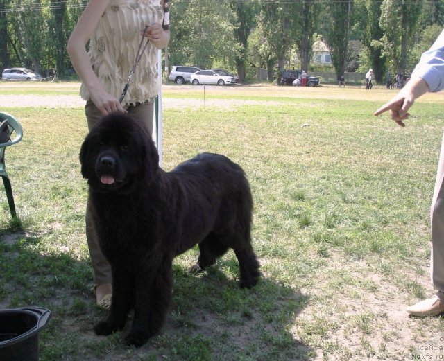 Фотография № 67693