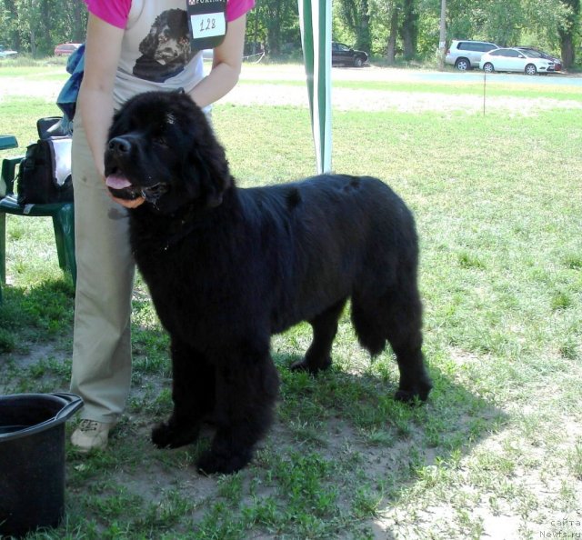 Фотография № 67694