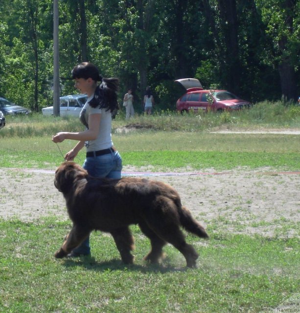 Фотография № 67697