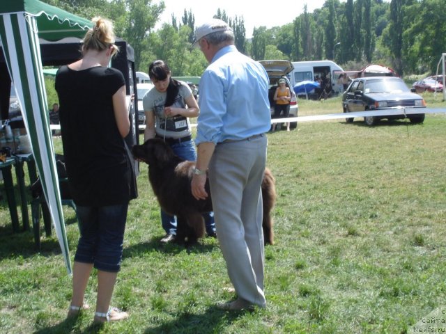 Фотография № 67700