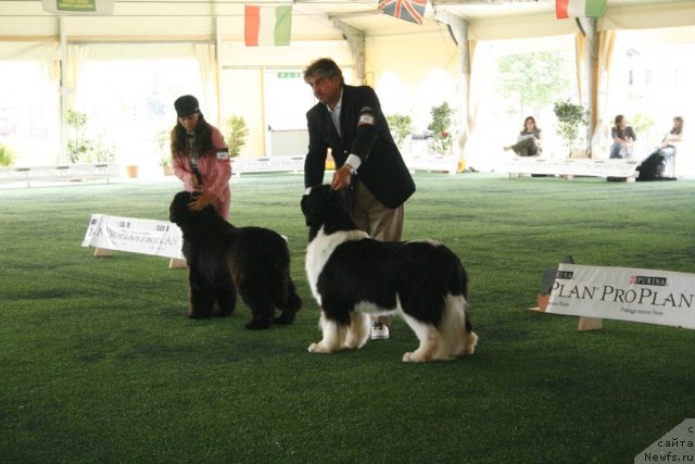 Фотография № 67748