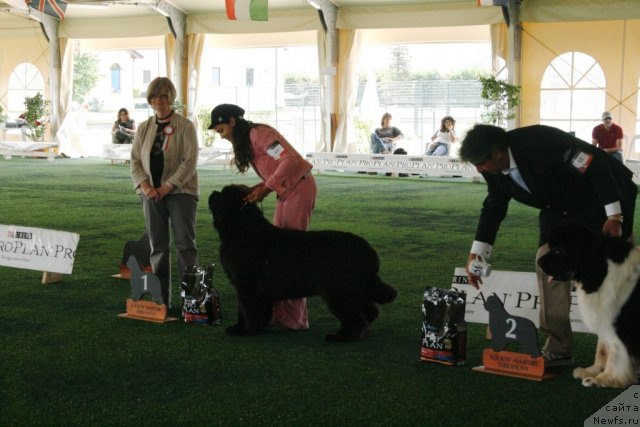 Фото: OUKAYA FOREVER TRY TO REMEMBER