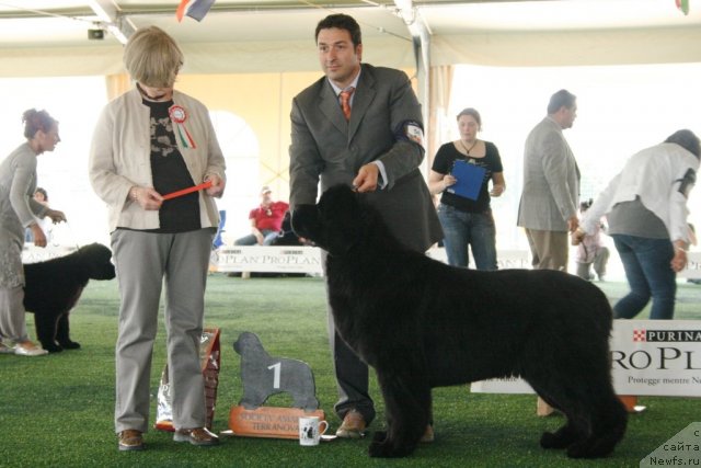 Фотография № 67752