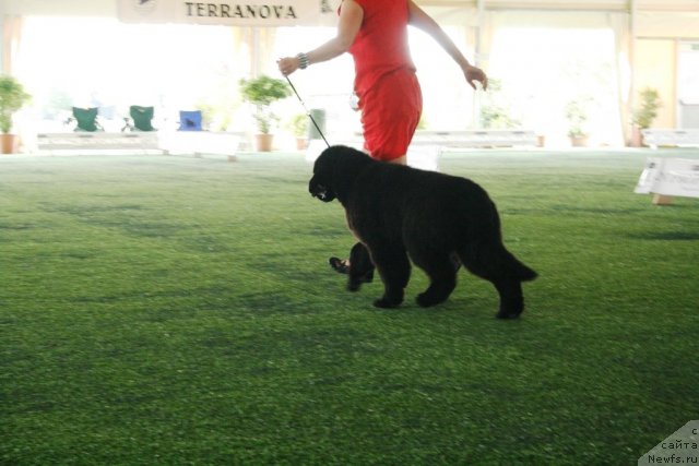 Фото: LITTLE BEARS DESIGNED IN ITALY FOR CHATENEWF