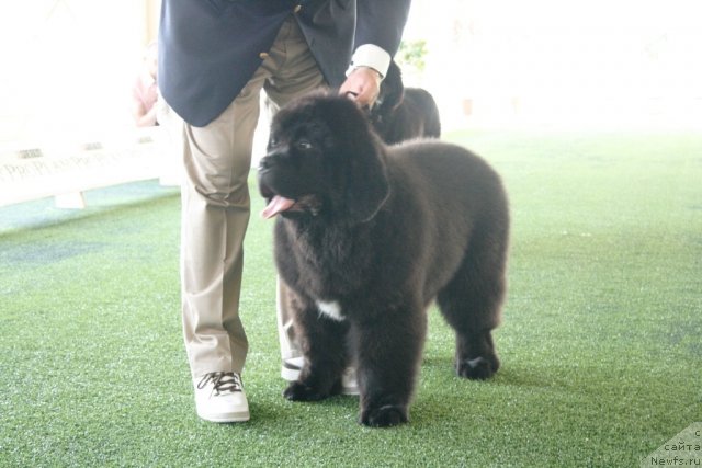 Фотография № 67761