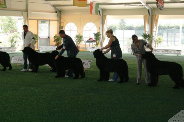 Фотография № 67769