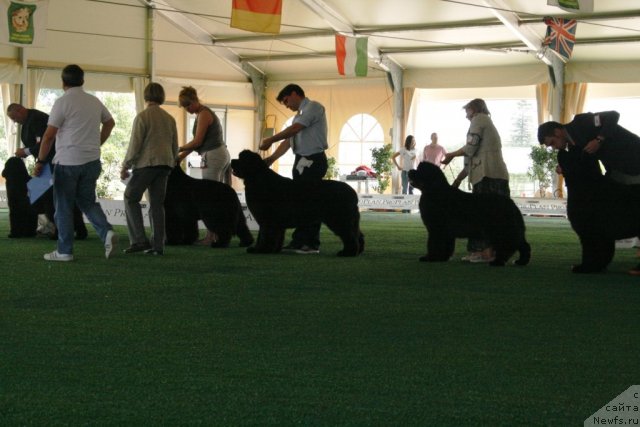 Фотография № 67770