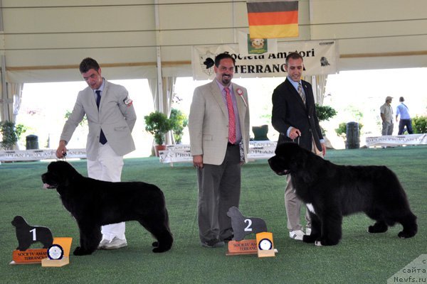 Фотография № 67787