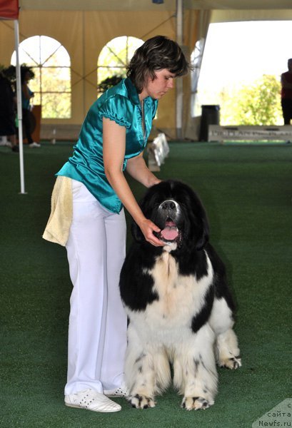 Фотография № 67794