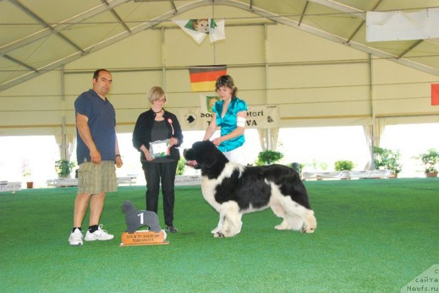 Фотография № 67795