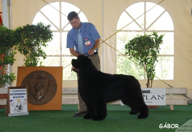 Фотография № 67807