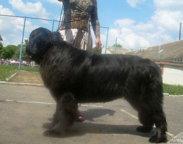 Фотография № 67817