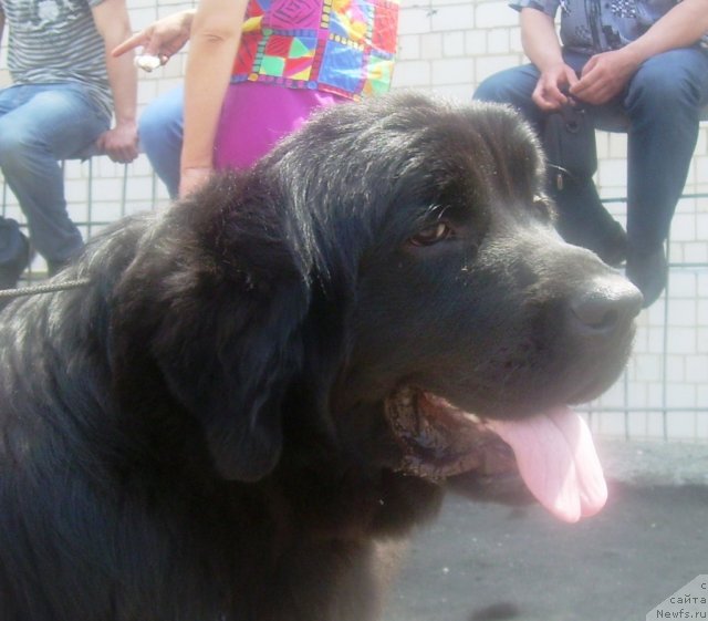 Фотография № 67818