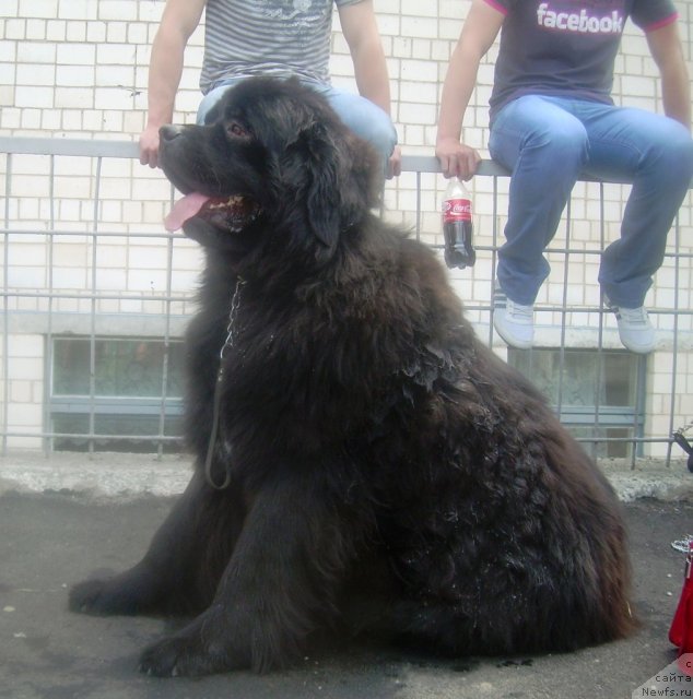 Фотография № 67820