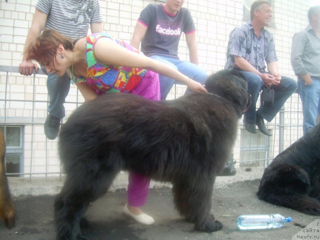 Фотография № 67822