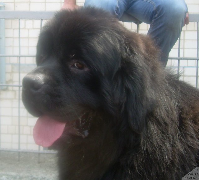 Фотография № 67824