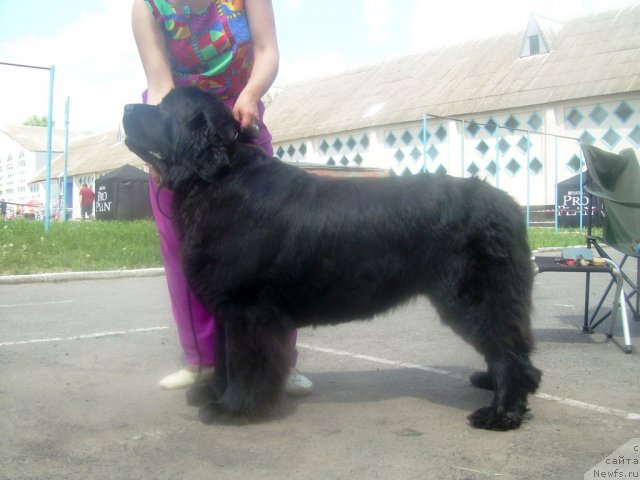 Фотография № 67826