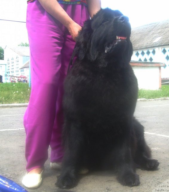 Фотография № 67827