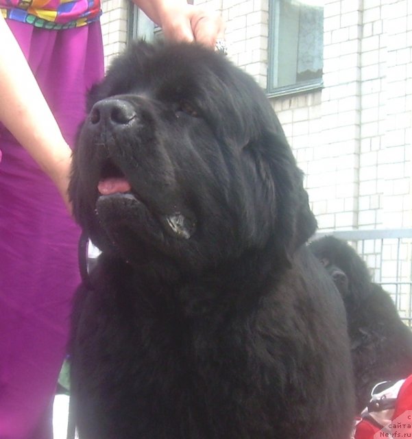 Фотография № 67829