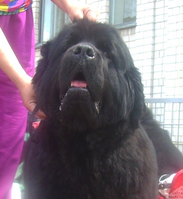 Фотография № 67830