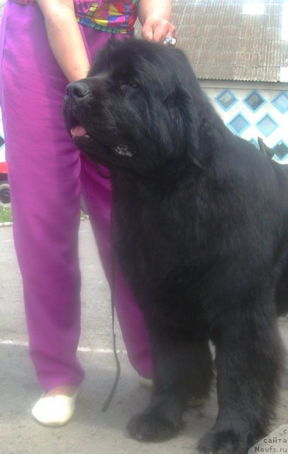 Фотография № 67831