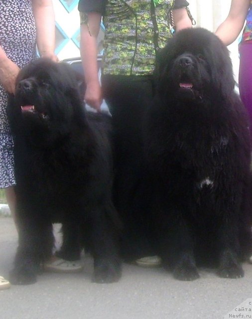 Фотография № 67834