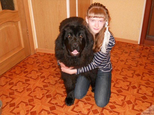 Фото: Парти 6 месяцев