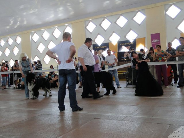 Фотография № 67848