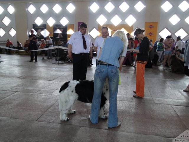 Фотография № 67855