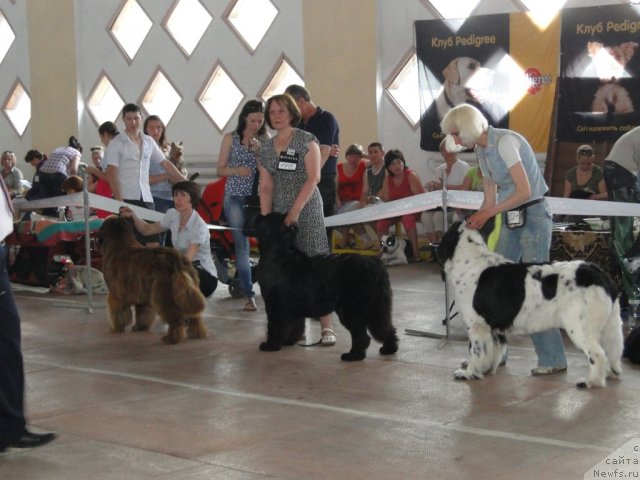 Фотография № 67859