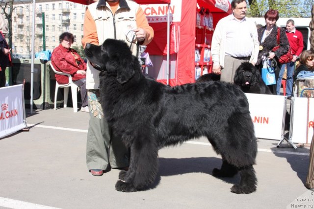 Фотография № 67868