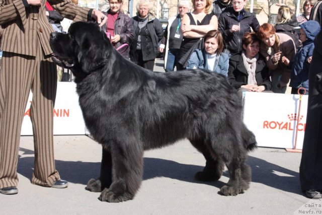 Фотография № 67870