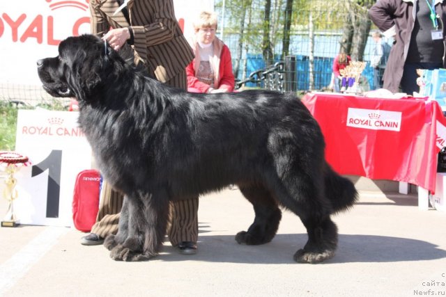 Фотография № 67872