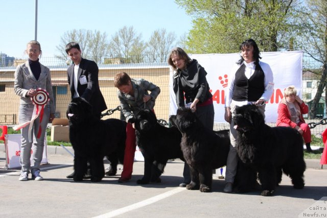 Фото: Питомник СМИГАР