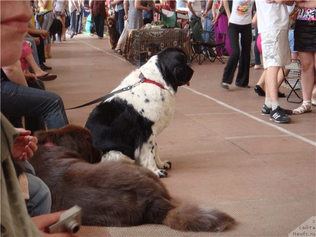 Фотография № 67892