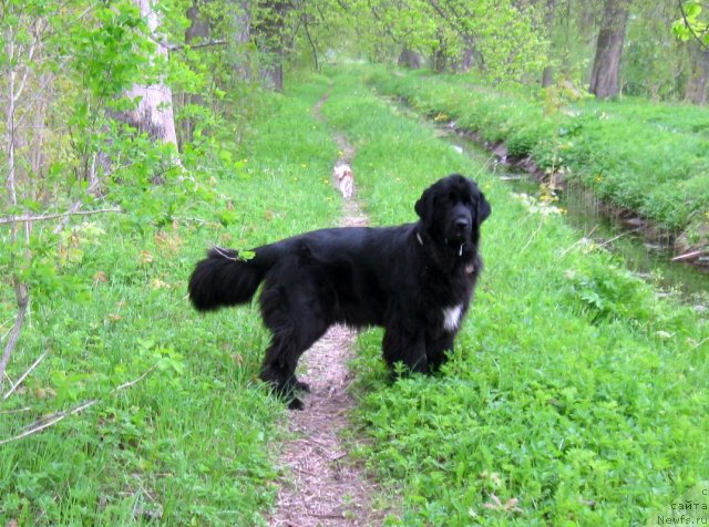 Фотография № 67929