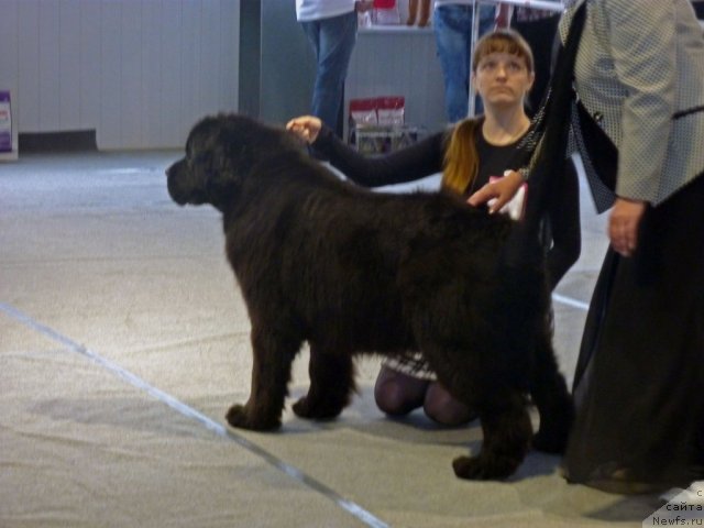 Фотография № 67986