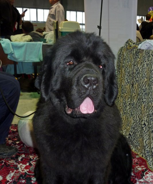 Фотография № 67991